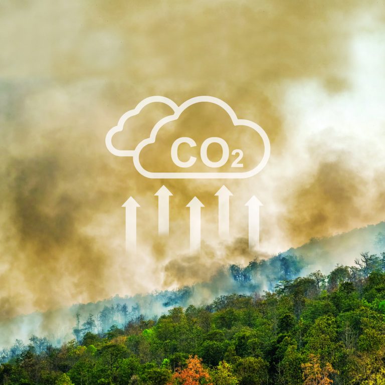 Wildfires release CO2 emissions and other greenhouse gases (GHG) that contribute to climate change.