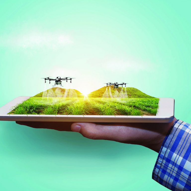 Agriculture,Drone,Fly,To,Sprayed,Fertilizer,On,The,Sugarcane,Fields.