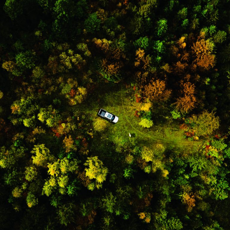 Zhejiang,,China,-,April,6,,2023?a,Silver,Shan,Hai,Pao