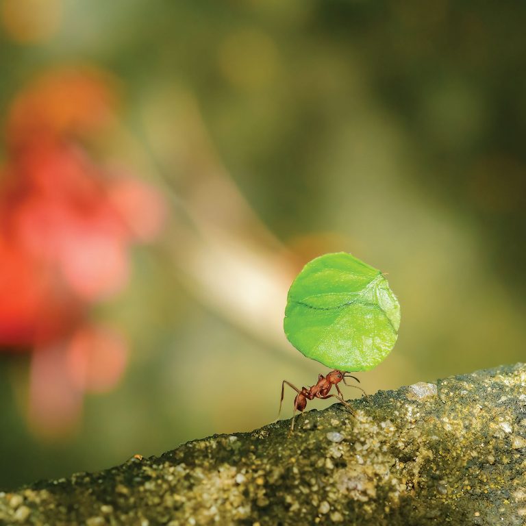 shutterstock_2287375167 - Copia2