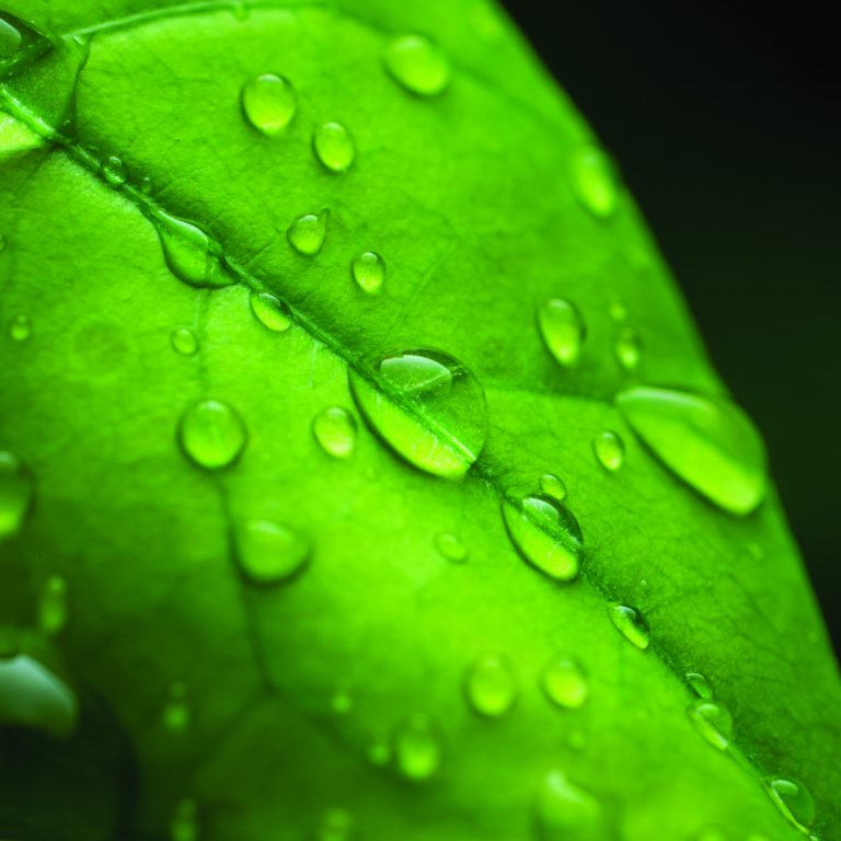 shutterstock_2295690471-2-2048x1346