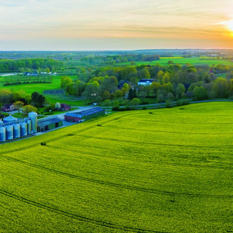 Landscape,With,A,Yellow,Rapeseed,Field,,An,Agricultural,Silo,And