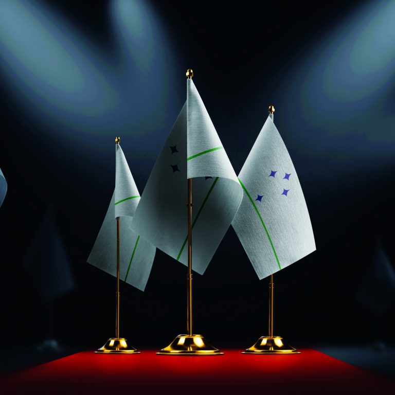 The Mercosur national flag on the red carpet.
