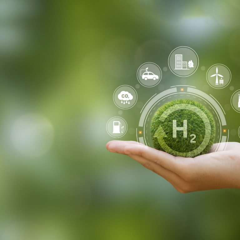 Hand,Of,Human,Holding,Green,Earth,With,The,Icon,Of