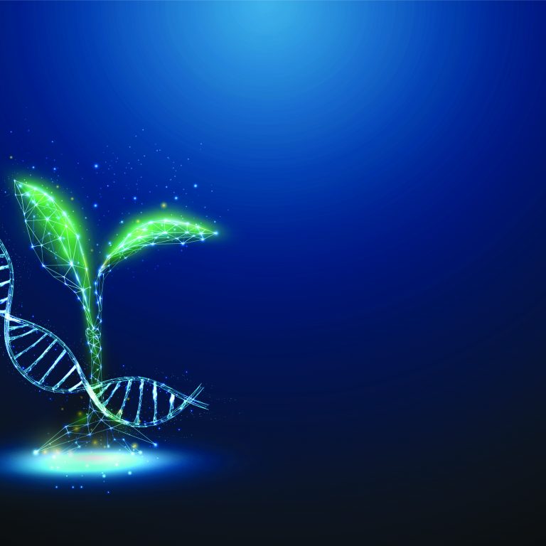 Green plant sprout with blue DNA molecule helix swirling around it. Genetically modified product. Gene editing genetic bioengineering concept. Low poly style. Abstract wireframe light structure Vector