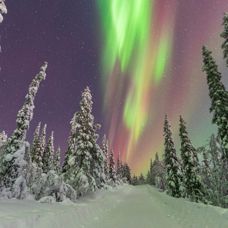Northern,Lights,(aurora,Borealis),Dancing,In,The,Starry,Night,Sky