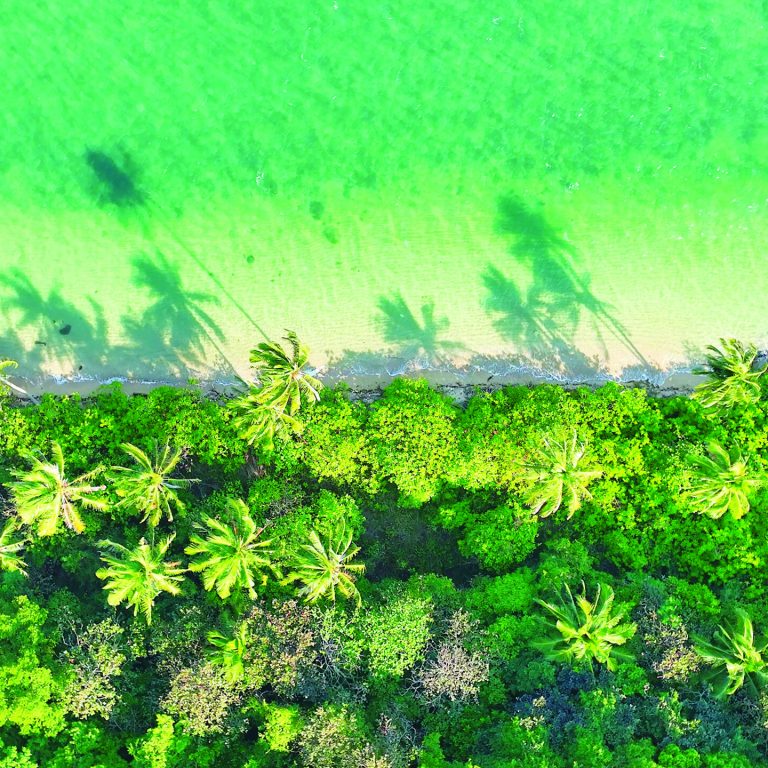 Crystal-clear seas, sandy haven, and coconut groves under the sun - an island's splendor unveiled by an aerial drone. Globetrotting and landscapes concept. Ko Chang, Trat Province, Thailand.