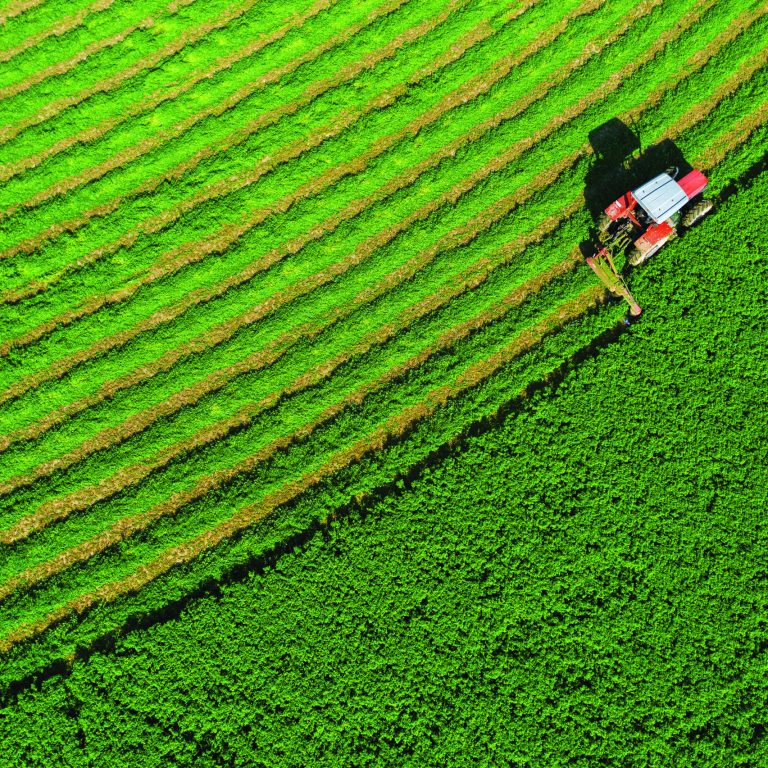 Alfalfa,Plant,Harvest,,People,Working,With,Tractors,And,Agricultural,Machinery,