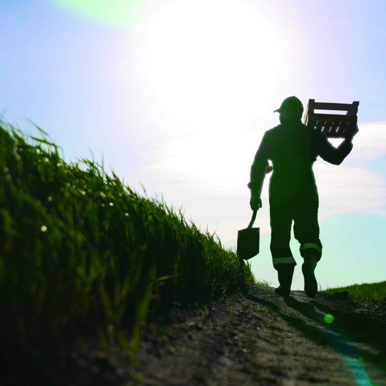 Farm worker walking in green fields in summer day, agriculture and agribusiness. Growing plants for food industry, professional farmer carrying wooden box and agricultural tools, slow motion shot