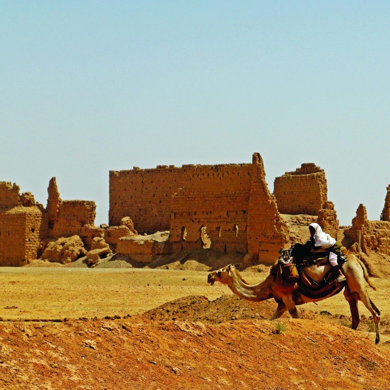 Aleppo - Syria - 07-13-2008 - Composition of a historical castle in the Rasafa Castle Syrian desert and a camel caravan passing by.