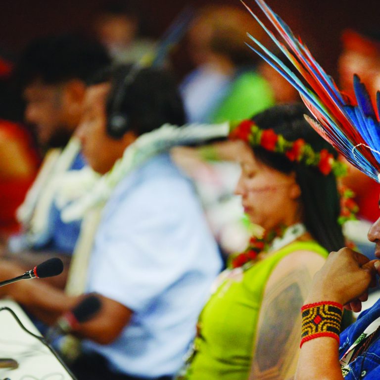 COP30-Belem, Brazil- Nov 12, 2025- indigenous , minister of environmental during meetings at COP30.