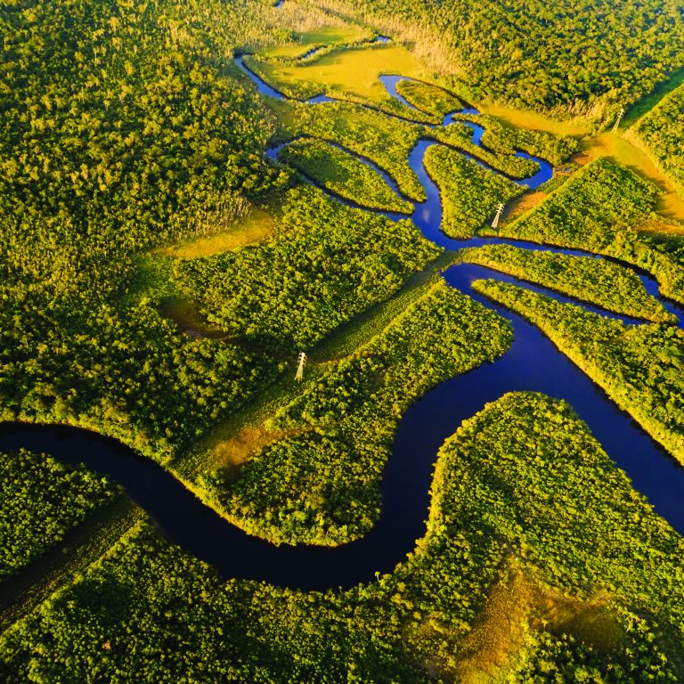 Amazon Rainforest in Brazil