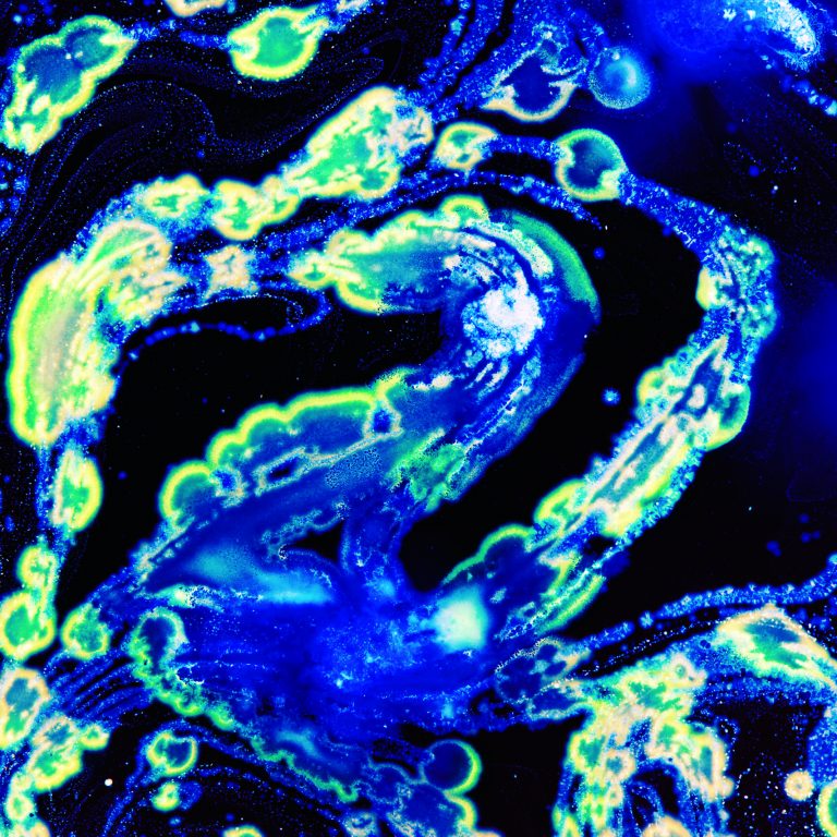 Macro photography of colorful wild swirling growing bacteria colonies and molds in a petri dish forming all kinds of beautiful patterns and shapes.