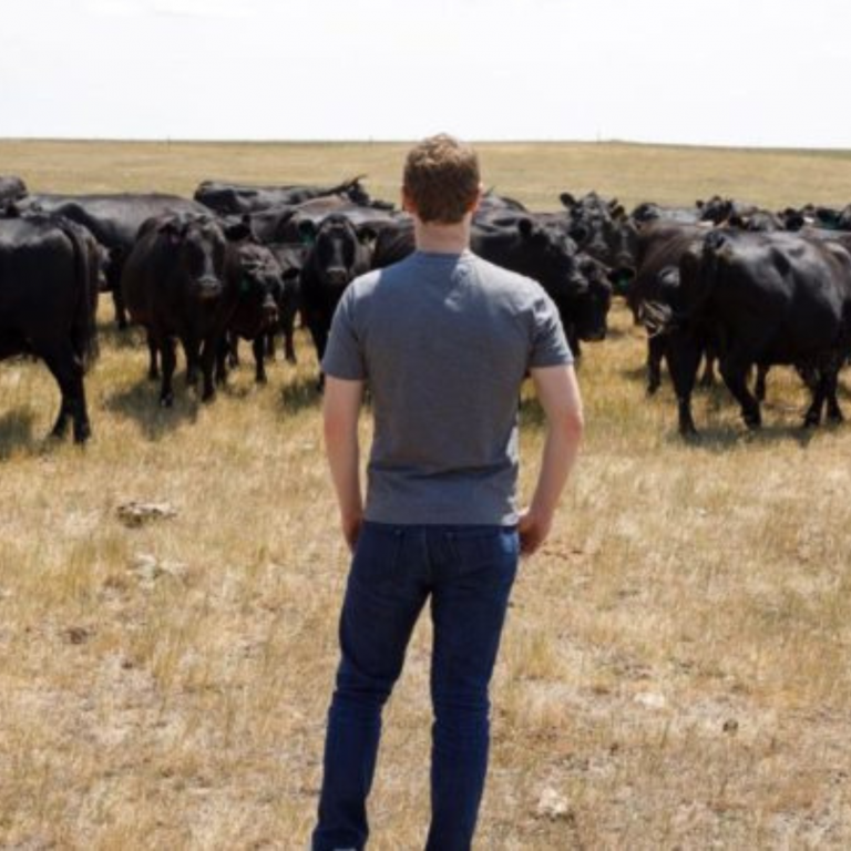 zuckerberg da no couro